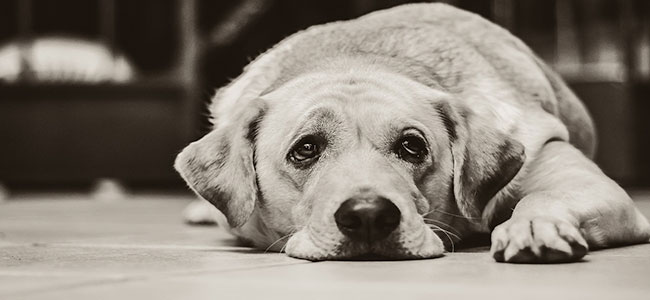 Depressie en acupunctuur