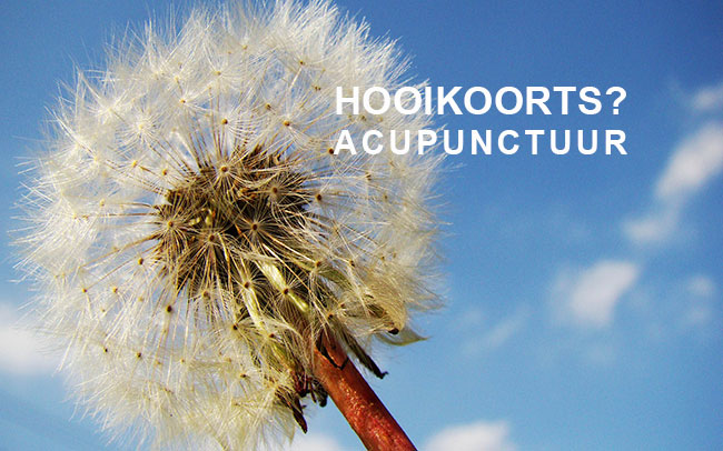 Hooikoorts Acupunctuur